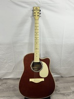 Estaban VL 100 Master Class Series acoustic guitar