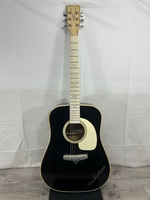 Estaban The Vintage acoustic guitar In soft black case.
